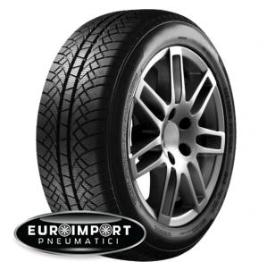 Sunny Wintermax NW611 205/65 R15 99 T XL